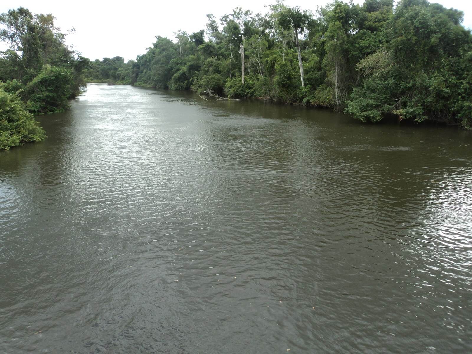 Registro de Marca Nova Guarita