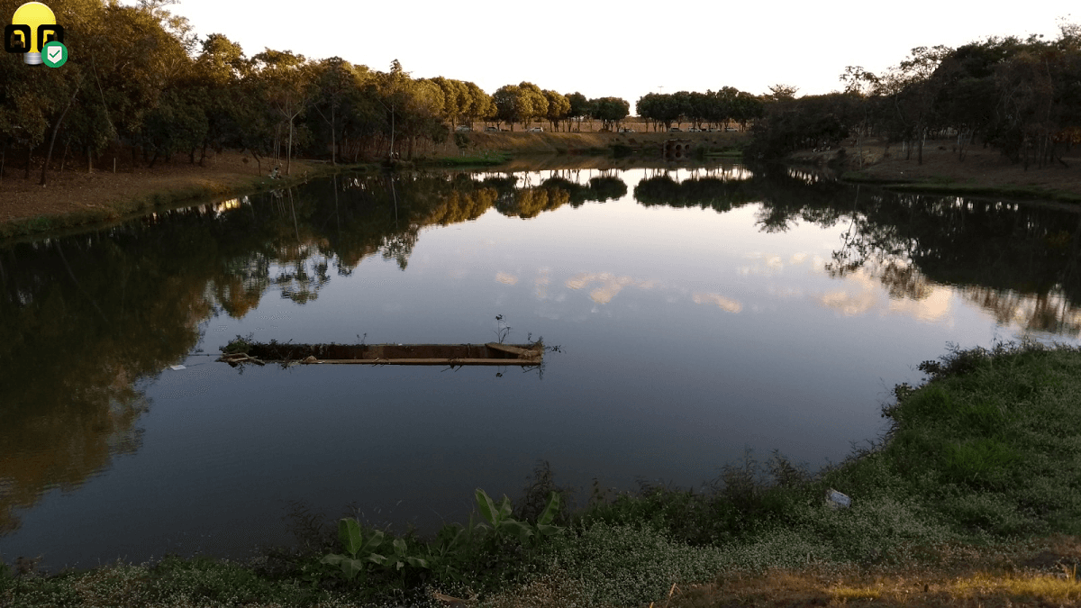 Registro de Marca Nova Mutum