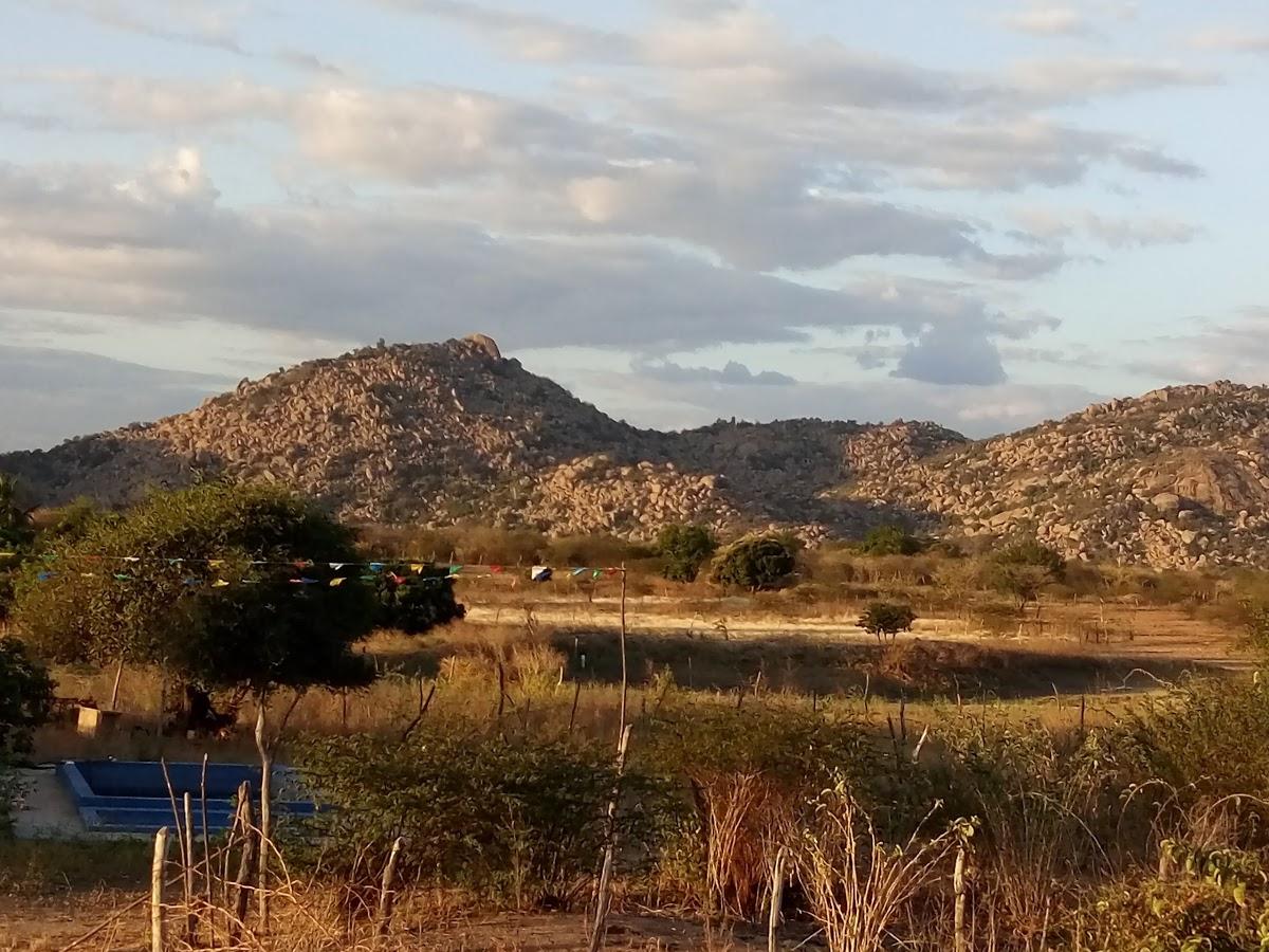 Registro de Marca Nova Olinda