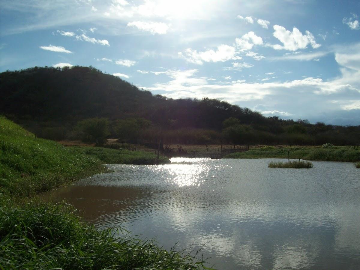 Registro de Marca Nova Palmeira