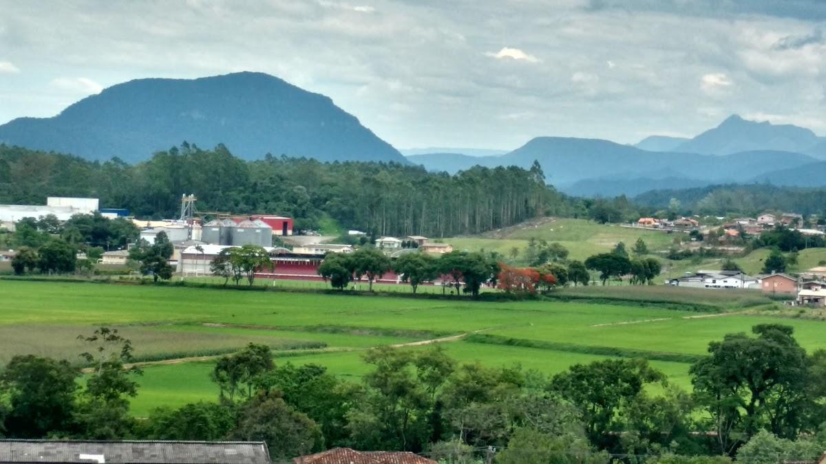 Registro de Marca Nova Veneza