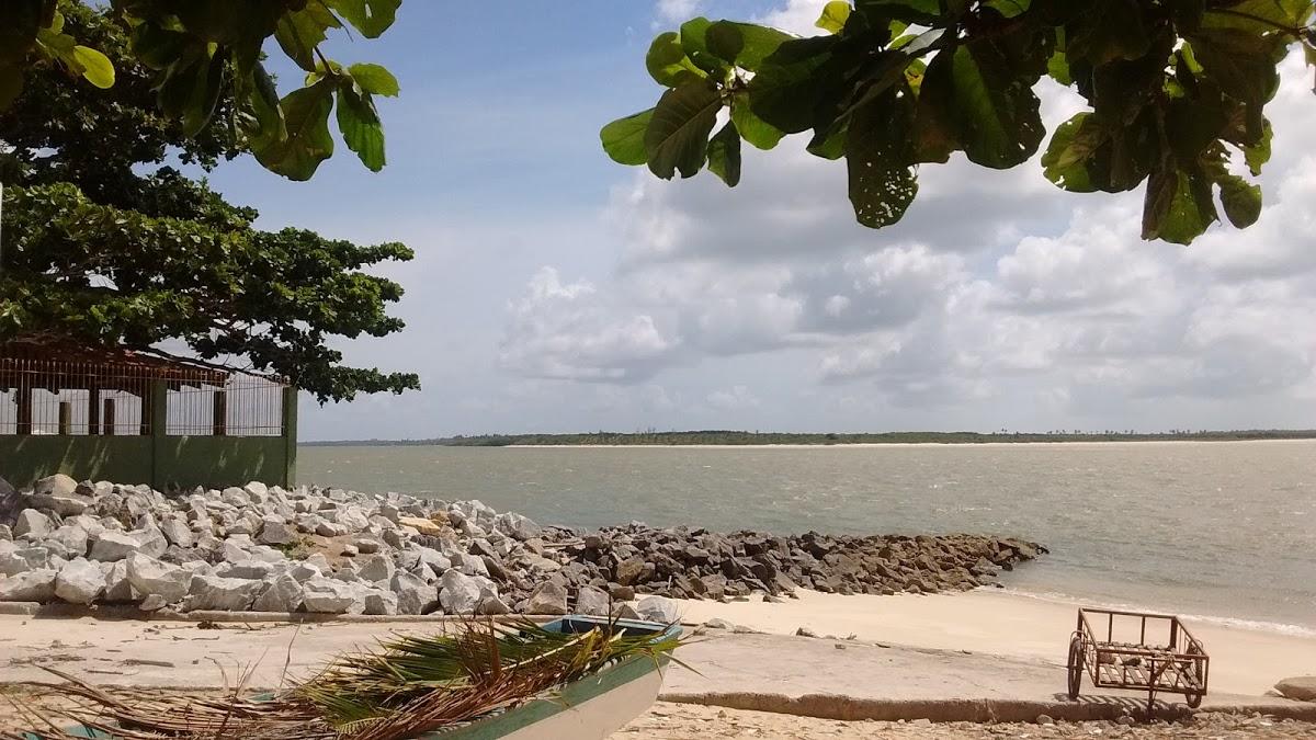 Registro de Marca Nova Viçosa