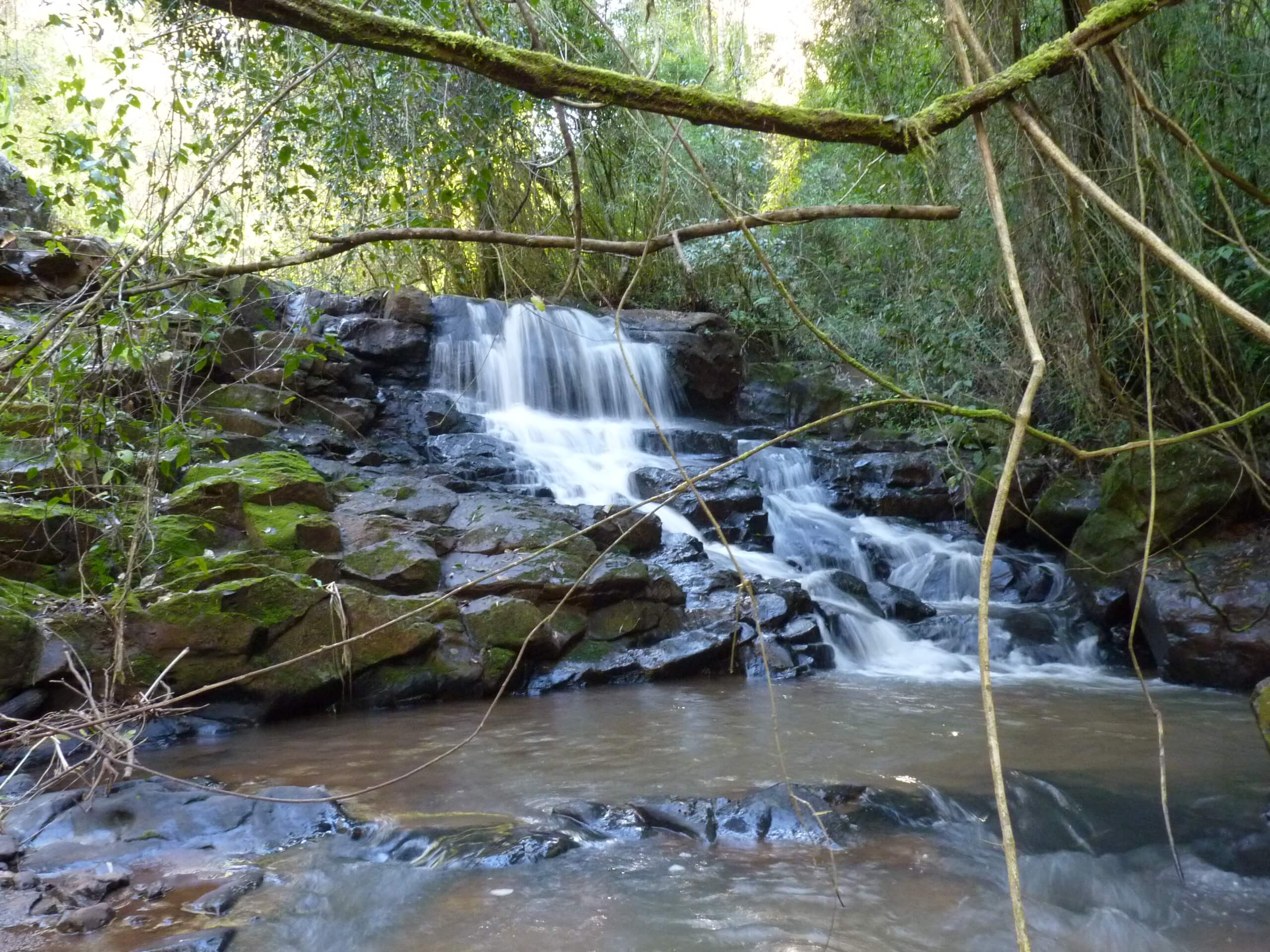 Registro de Marca Novo Itacolomi