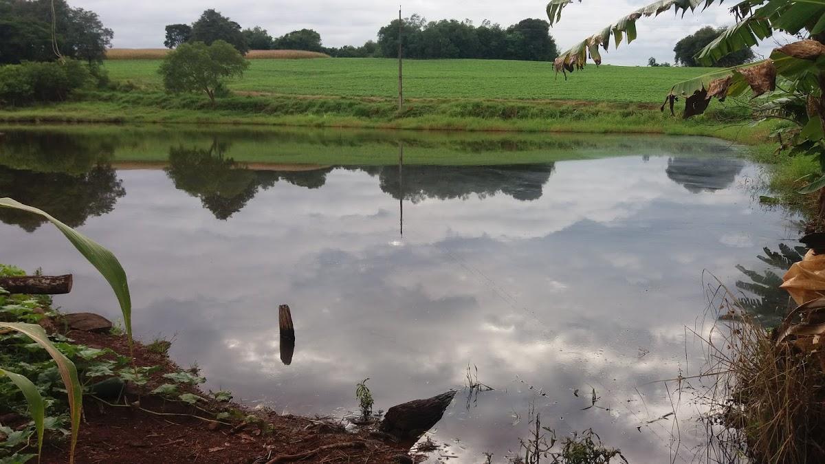 Registro de Marca Novo Machado