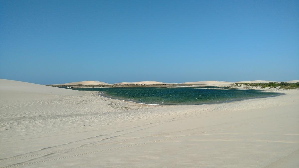 Registro de Marca Novo Oriente