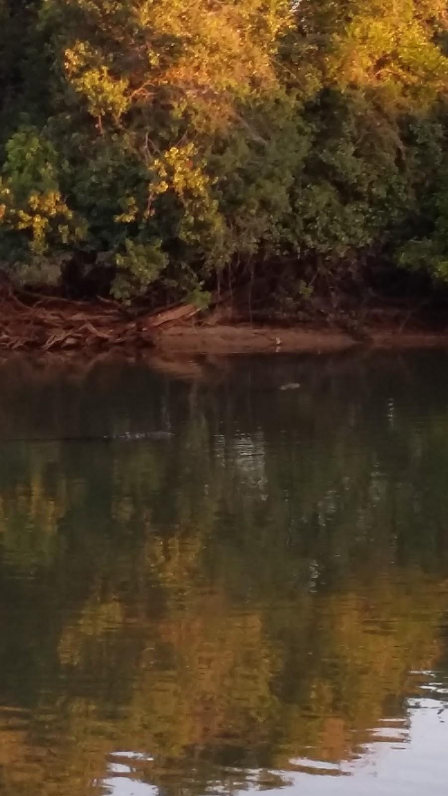 Registro de Marca Novo Santo Antônio