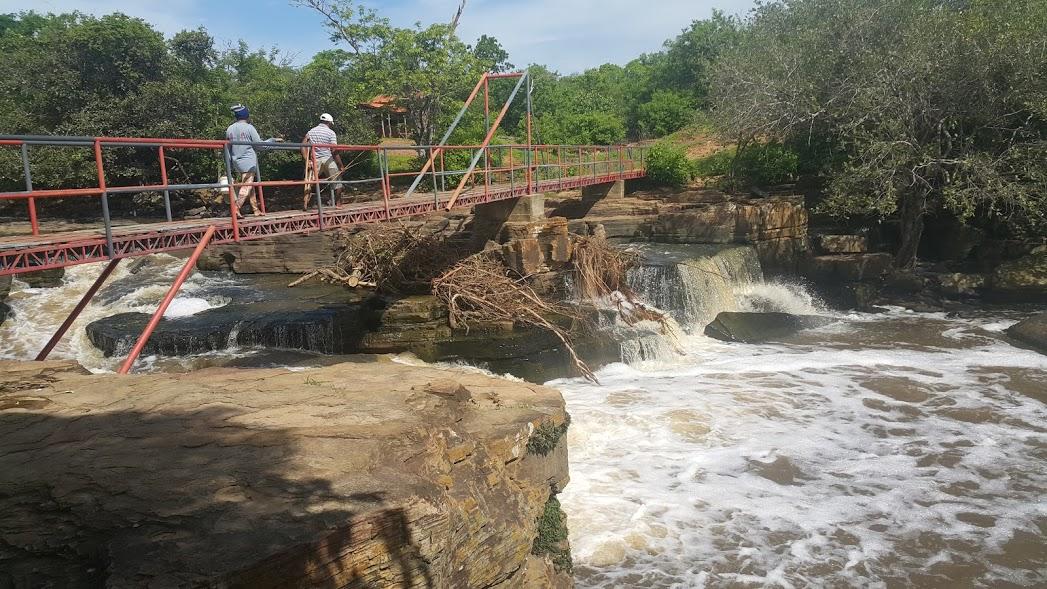 Registro de Marca Novo Santo Antônio