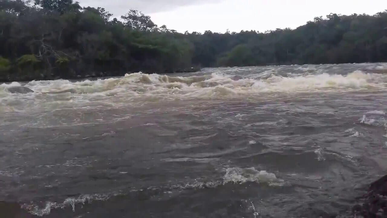 Registro de Marca Novo São Joaquim