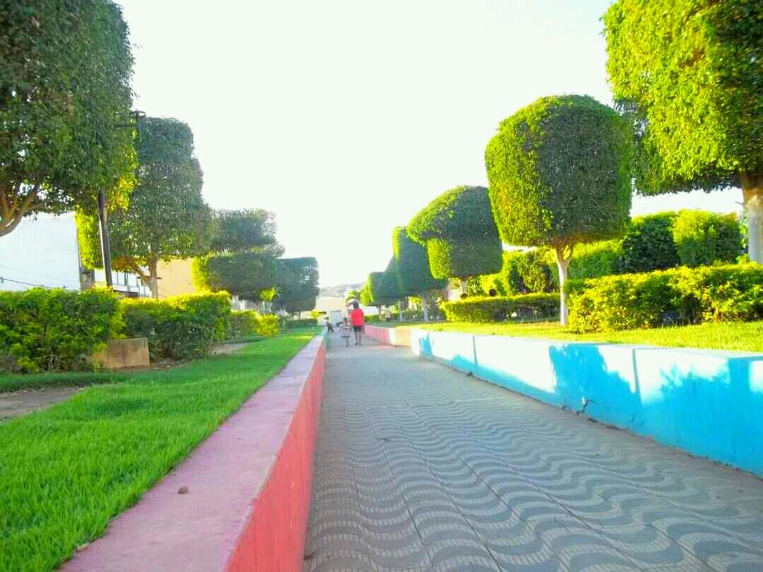 Registro de Marca Novo Triunfo