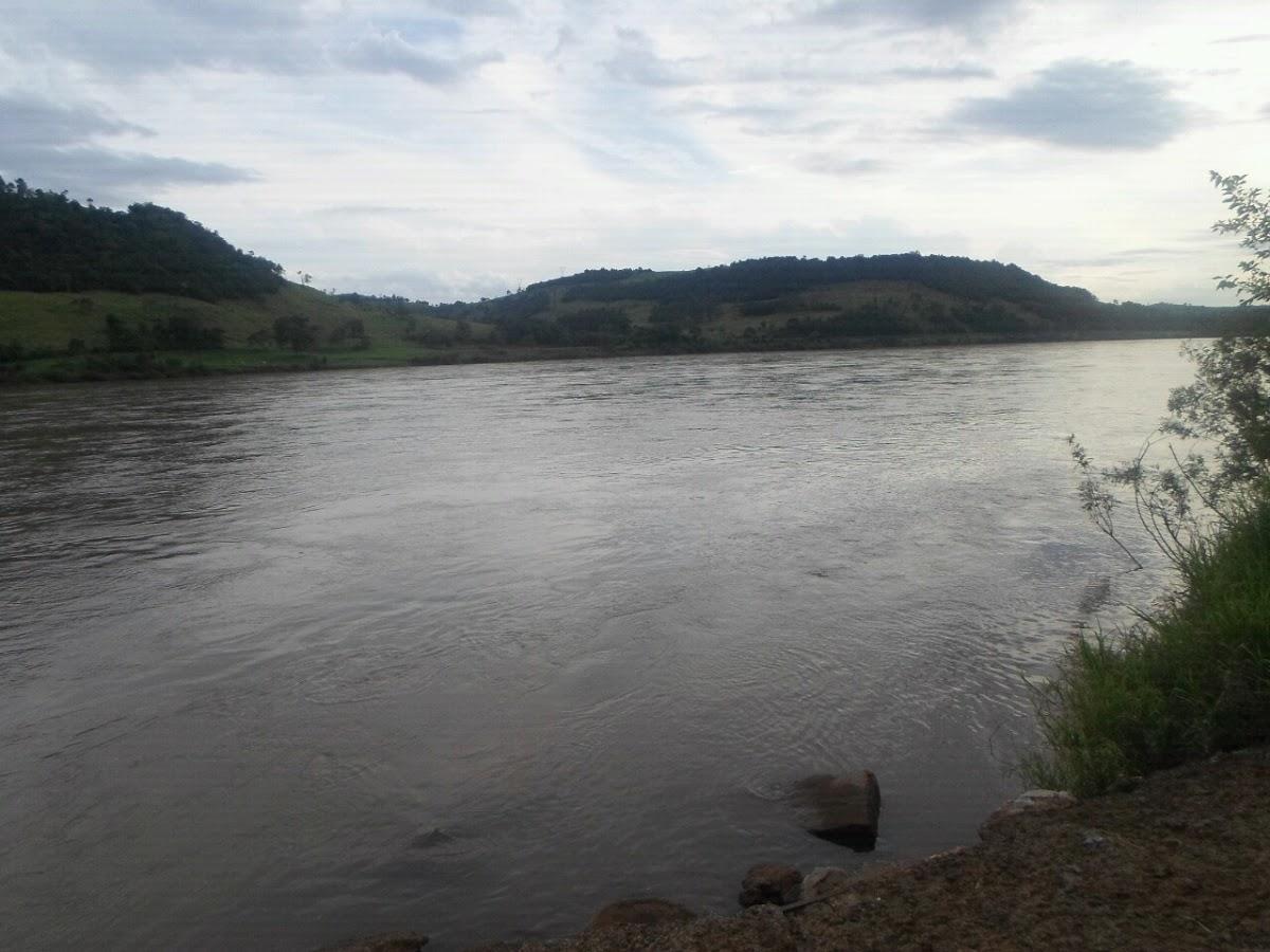 Registro de Marca Novo Xingu