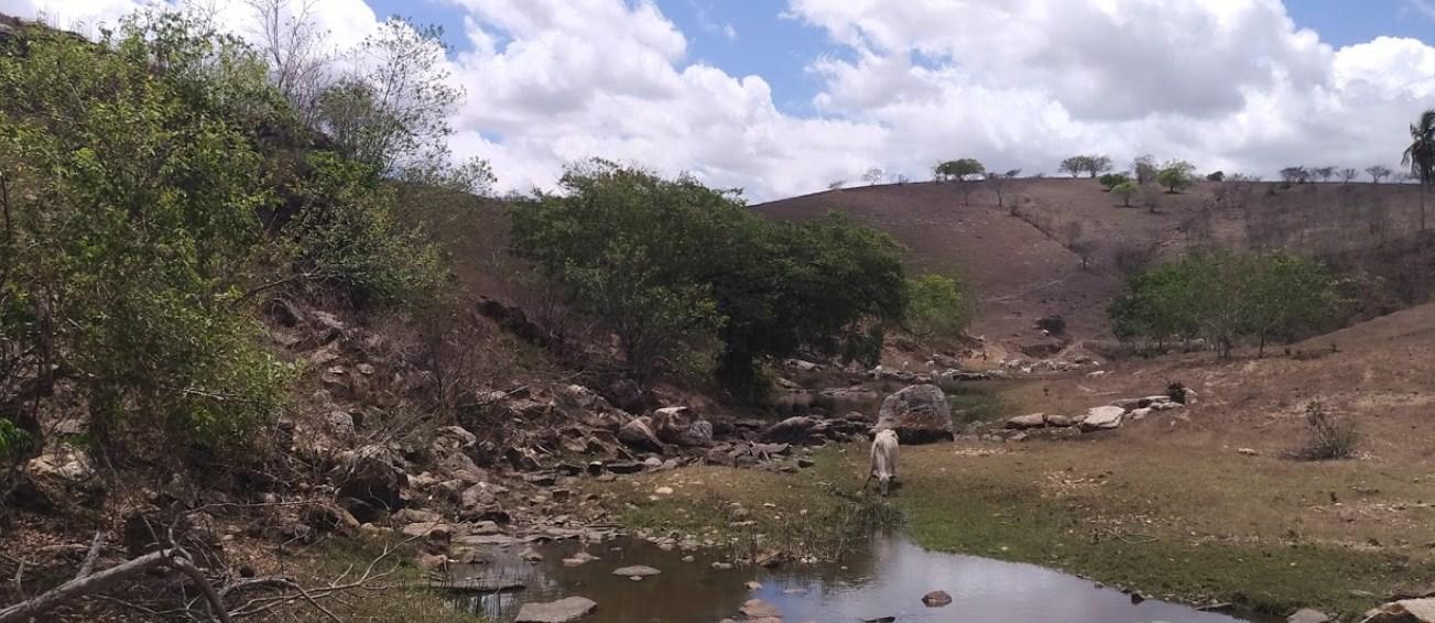 Registro de Marca Olho D'Água Grande