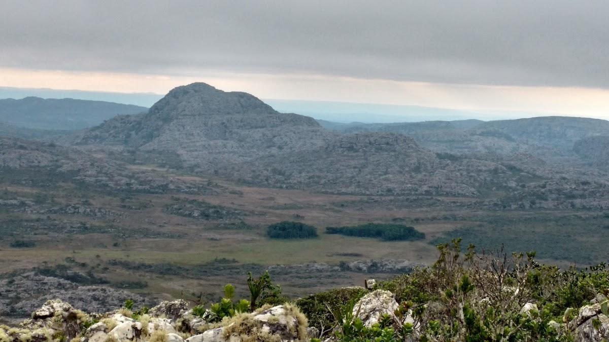Registro de Marca Olhos-D'Água