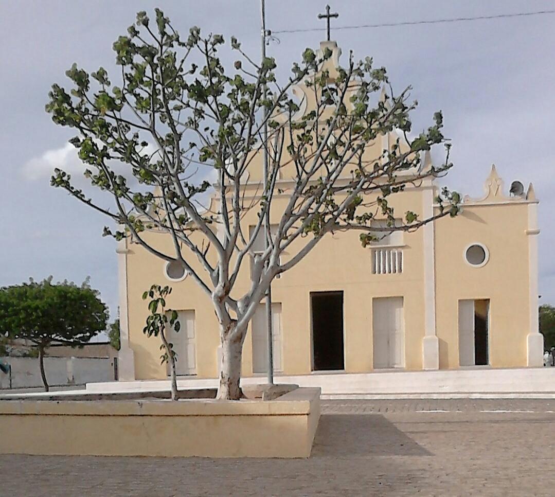 Registro de Marca Olivedos