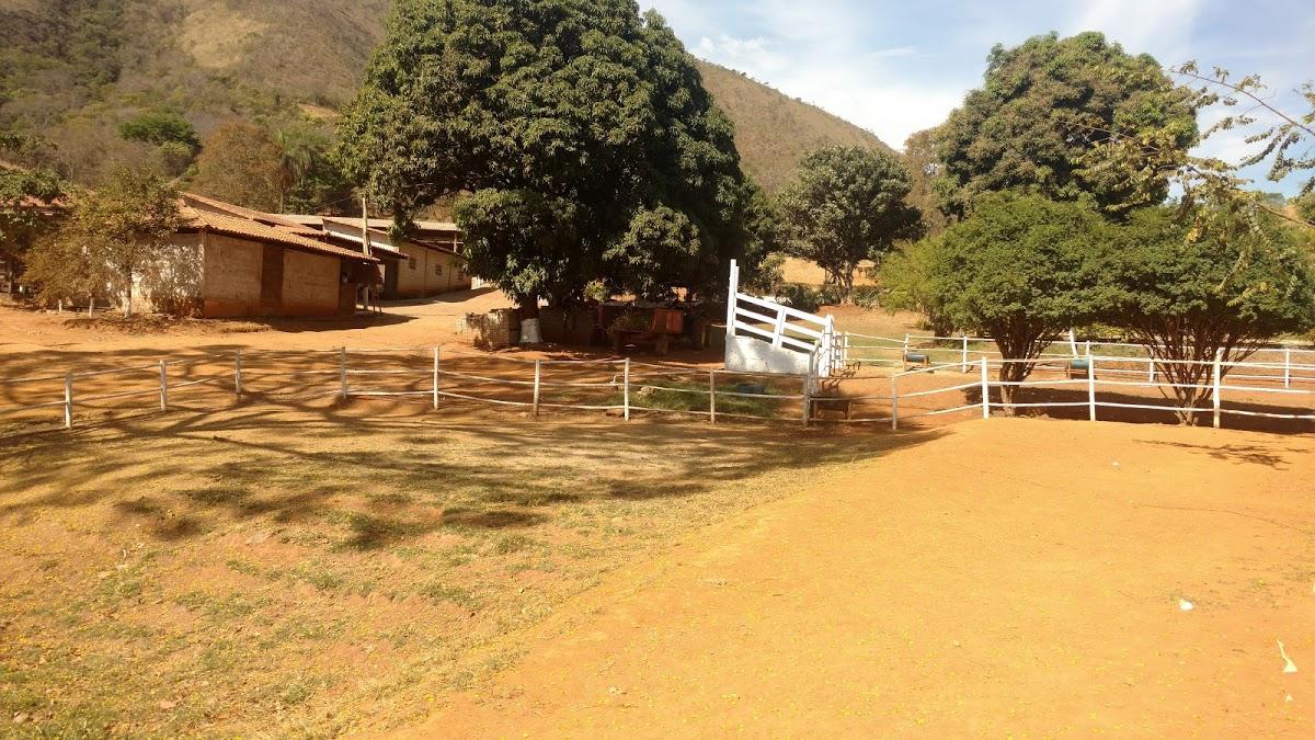 Registro de Marca Onça de Pitangui