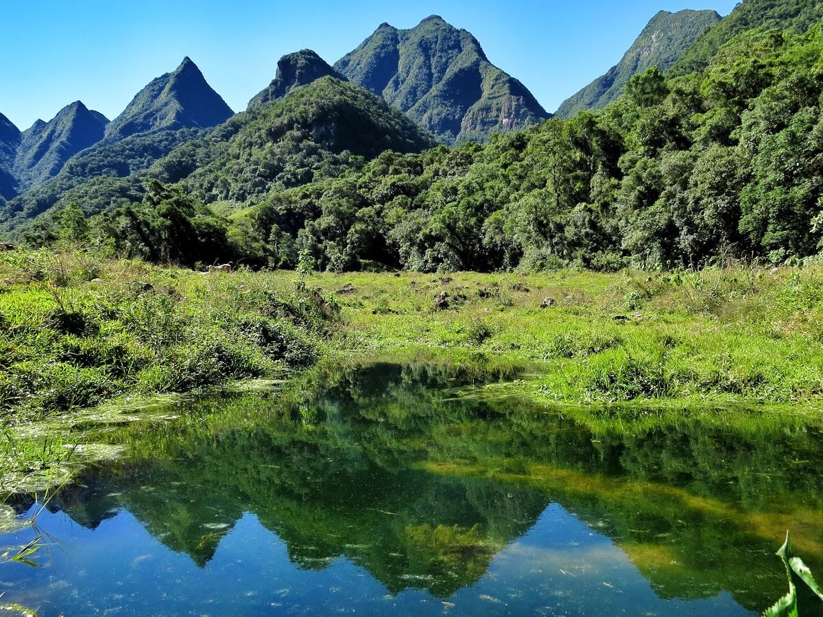 Registro de Marca Orleans