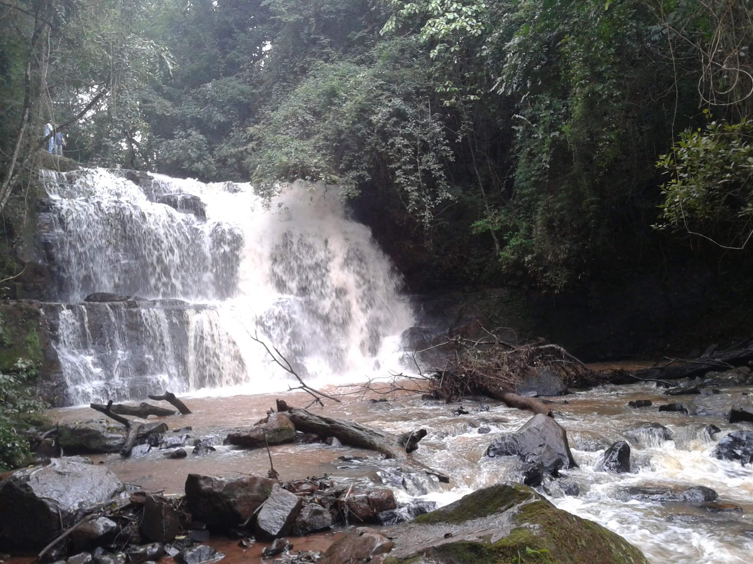 Registro de Marca Ourizona