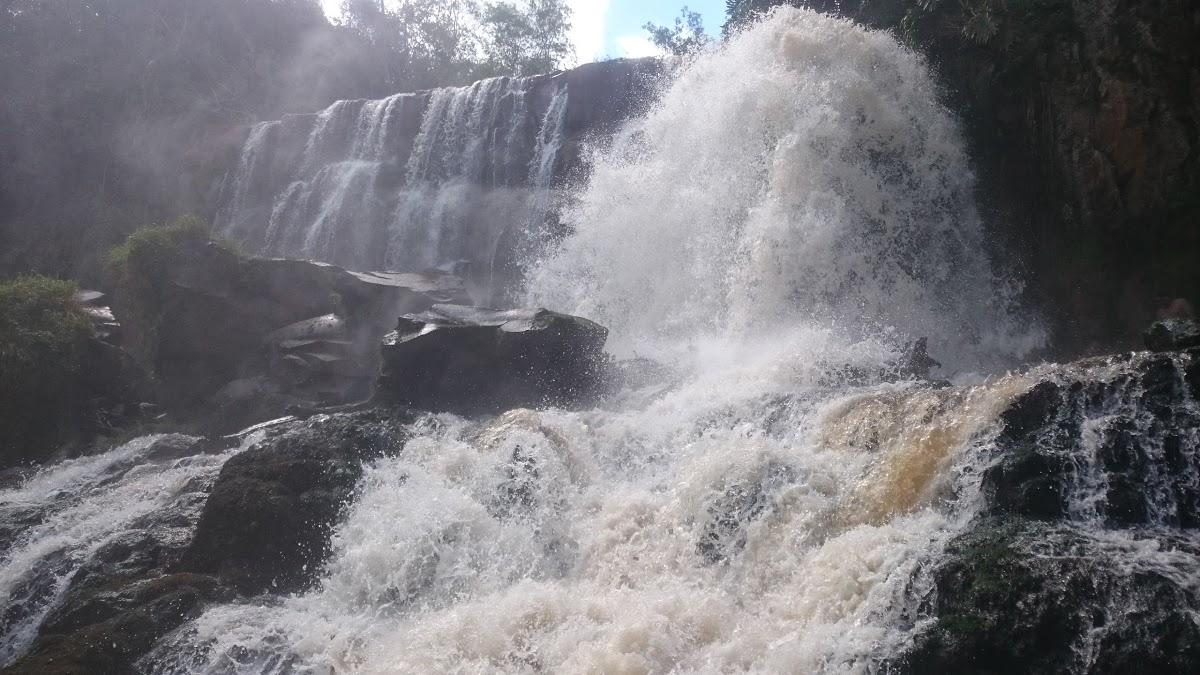 Registro de Marca Ouro Verde do Oeste