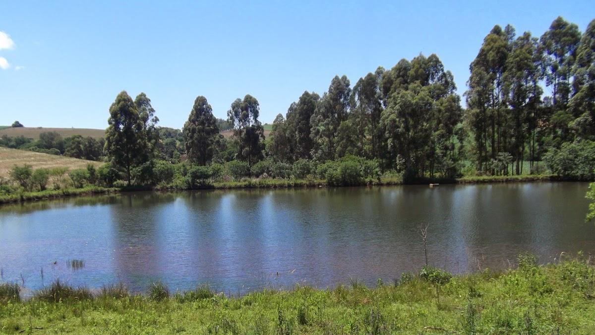 Registro de Marca Ouro Verde