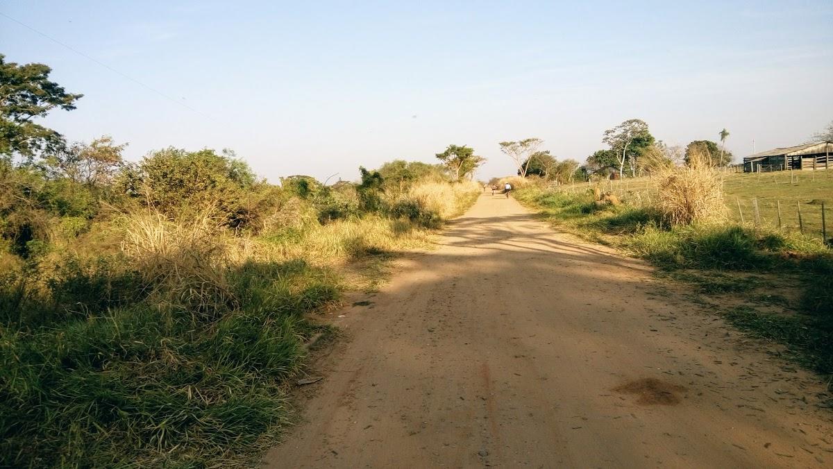 Registro de Marca Ouro Verde