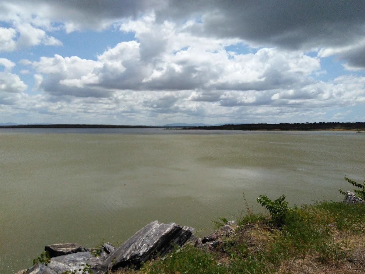 Registro de Marca Pacajus