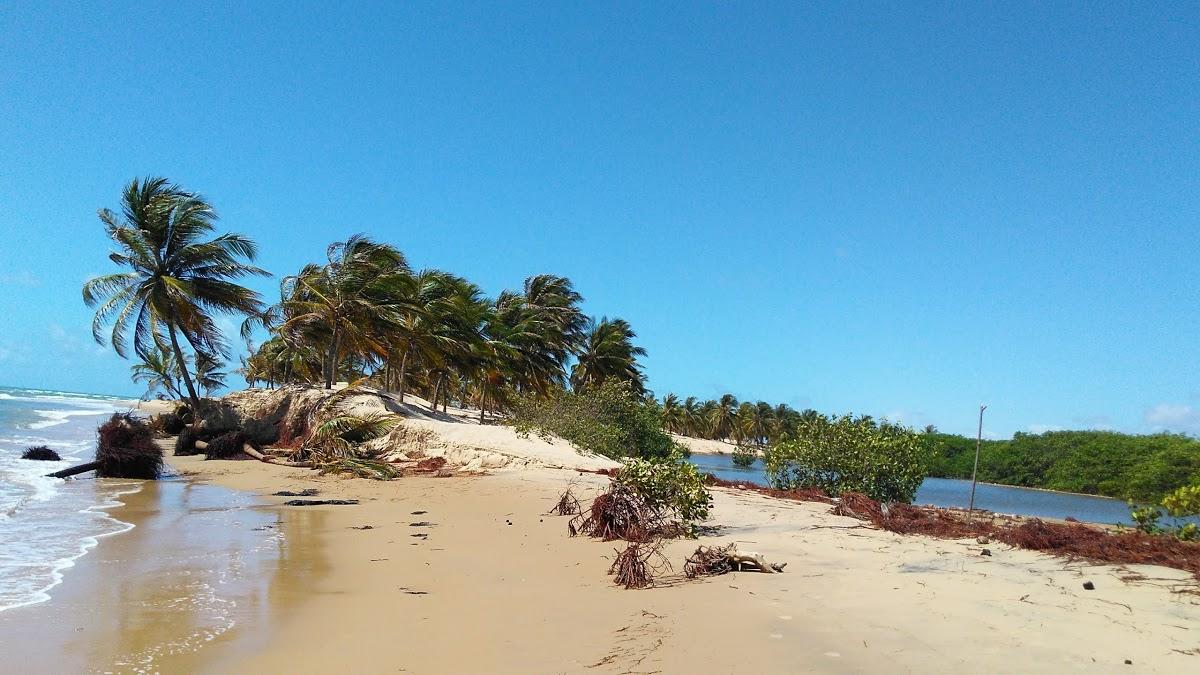 Registro de Marca Pacatuba