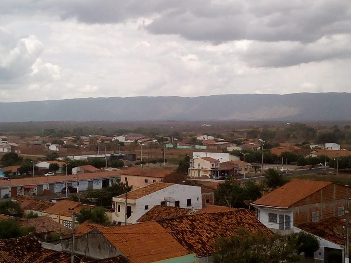 Registro de Marca Pacujá