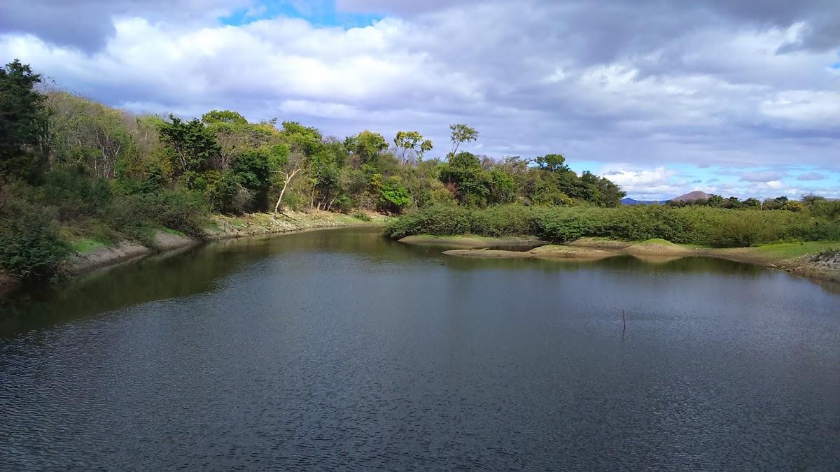 Registro de Marca Pai Pedro