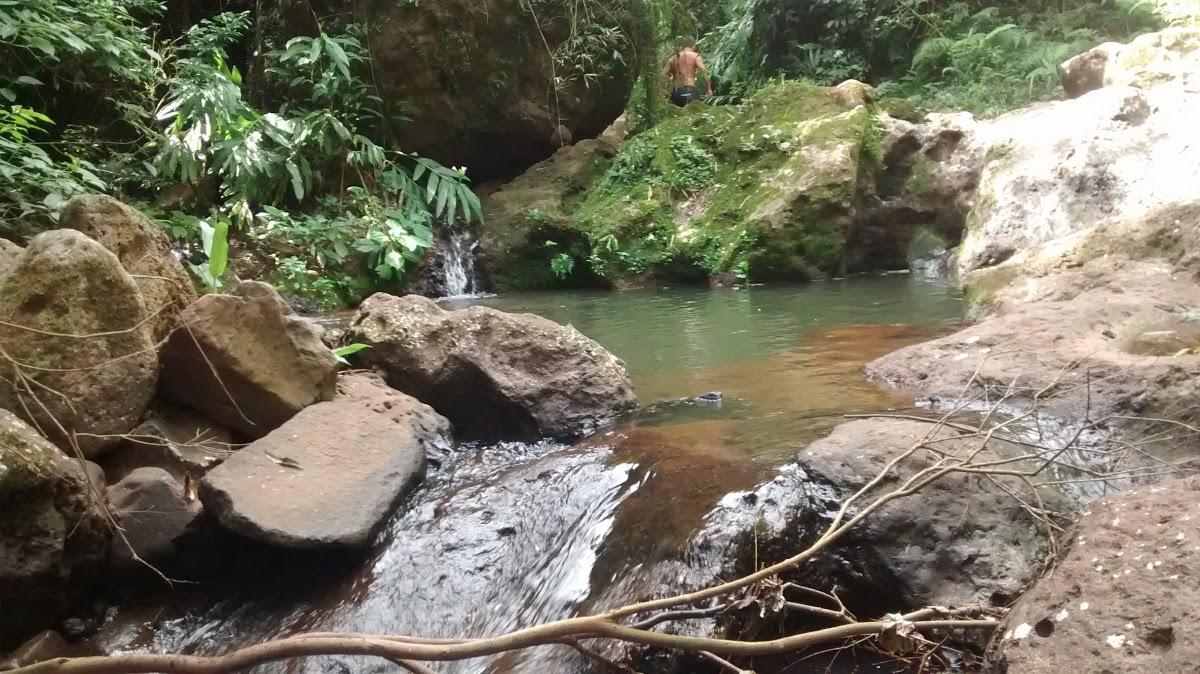 Registro de Marca Paial