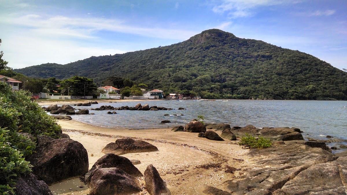 Registro de Marca Palhoça