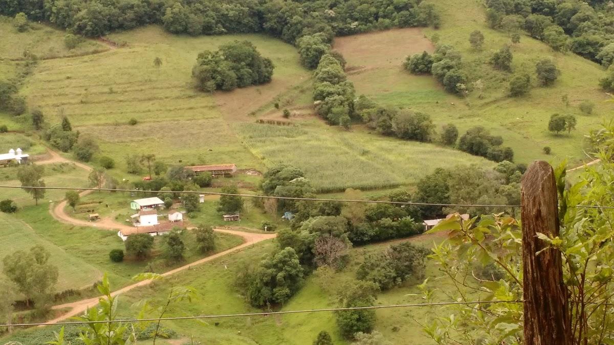 Registro de Marca Palma Sola