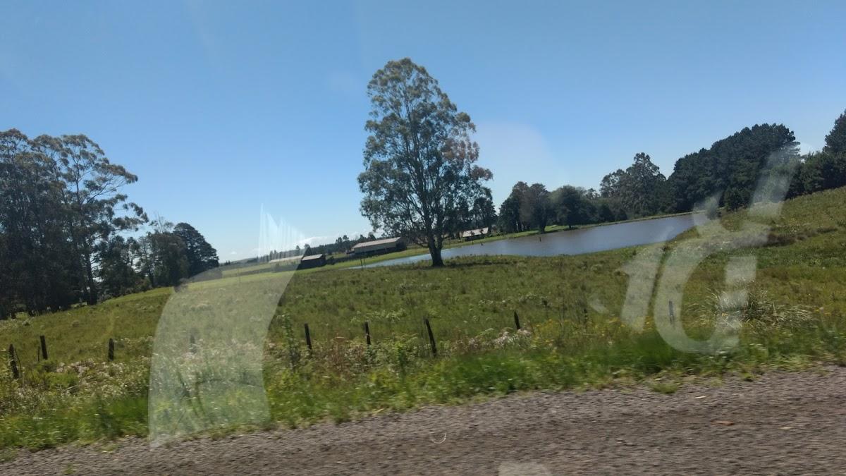 Registro de Marca Palmas