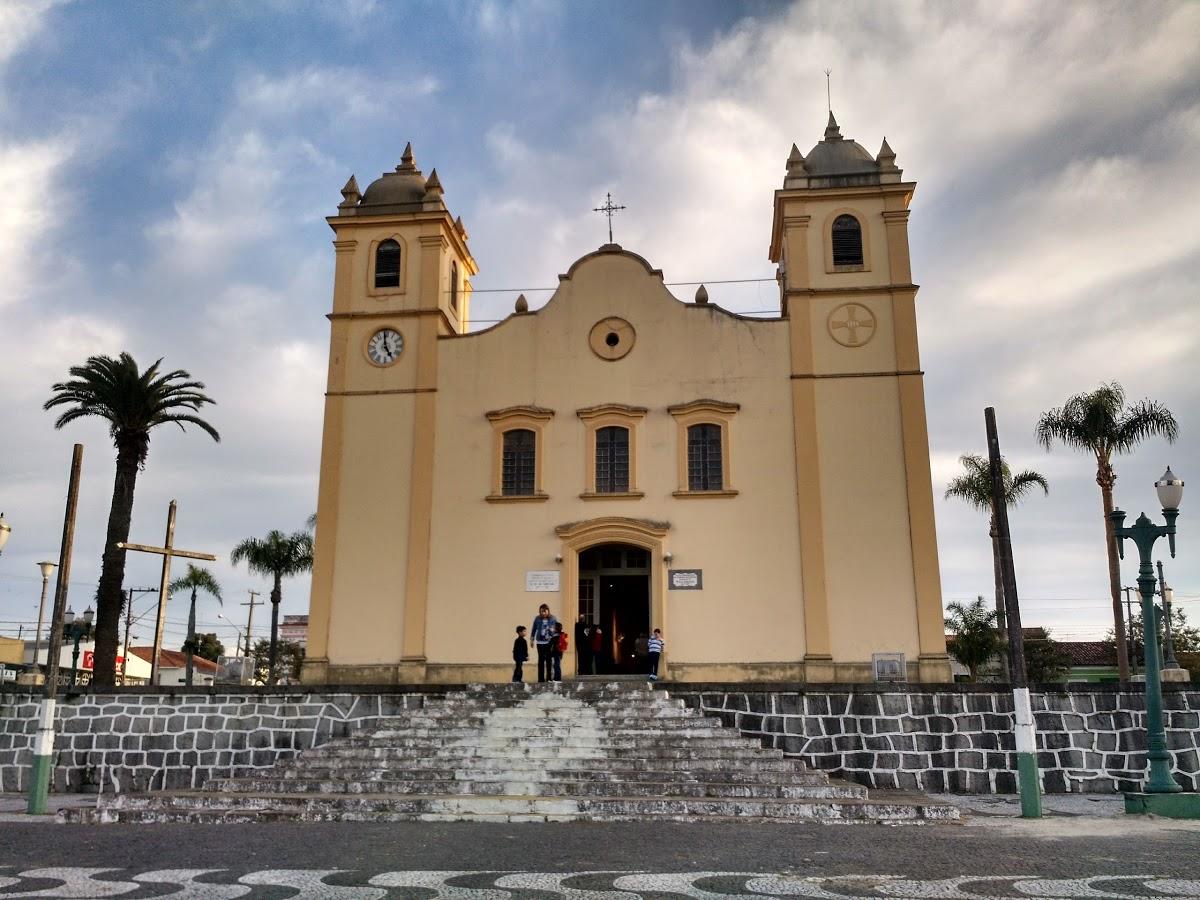 Registro de Marca Palmeira