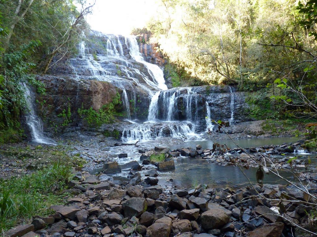 Registro de Marca Palmital