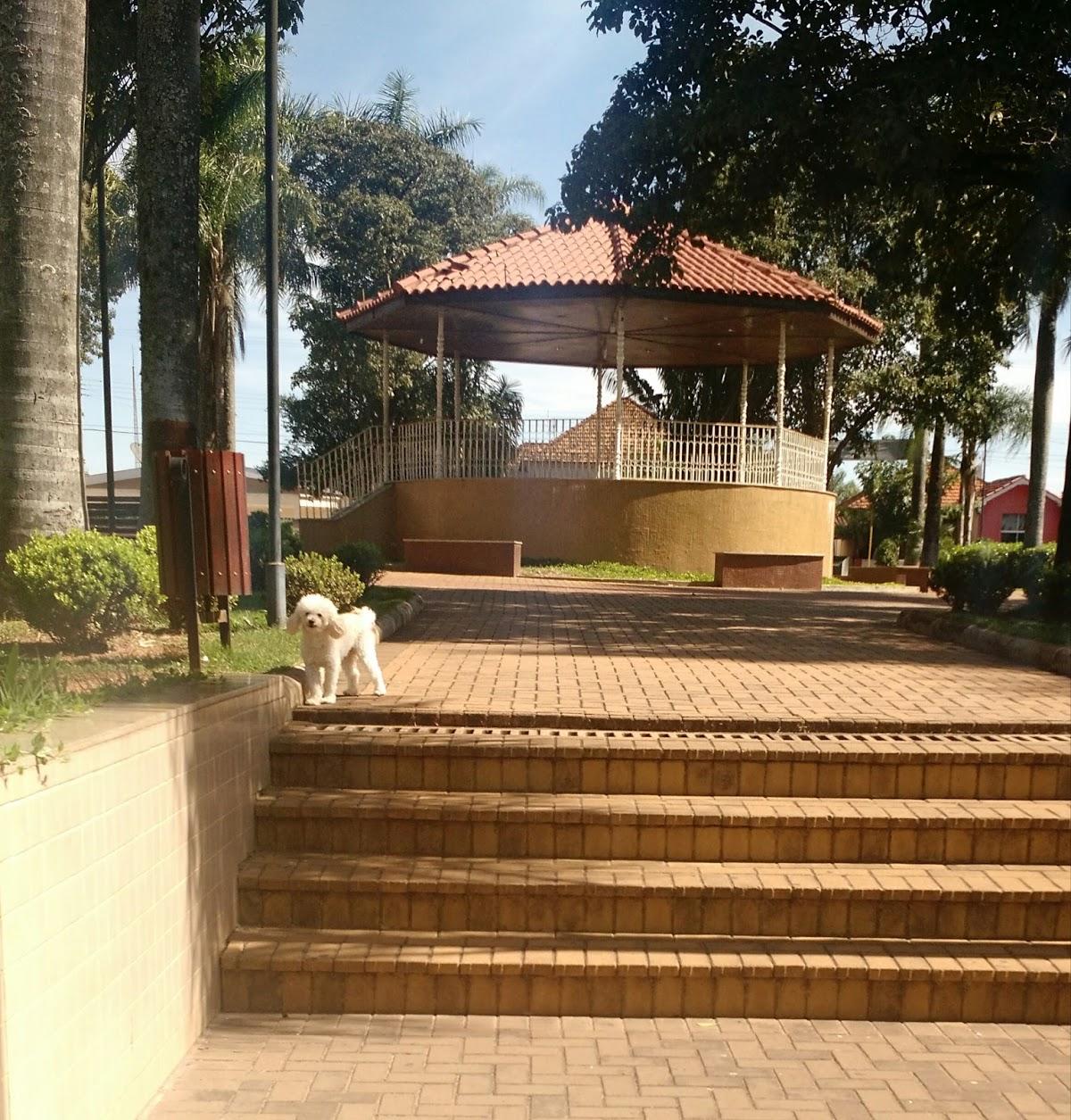Registro de Marca Paraíso