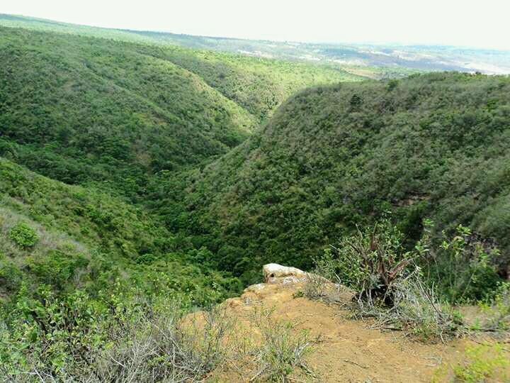 Registro de Marca Paranatama