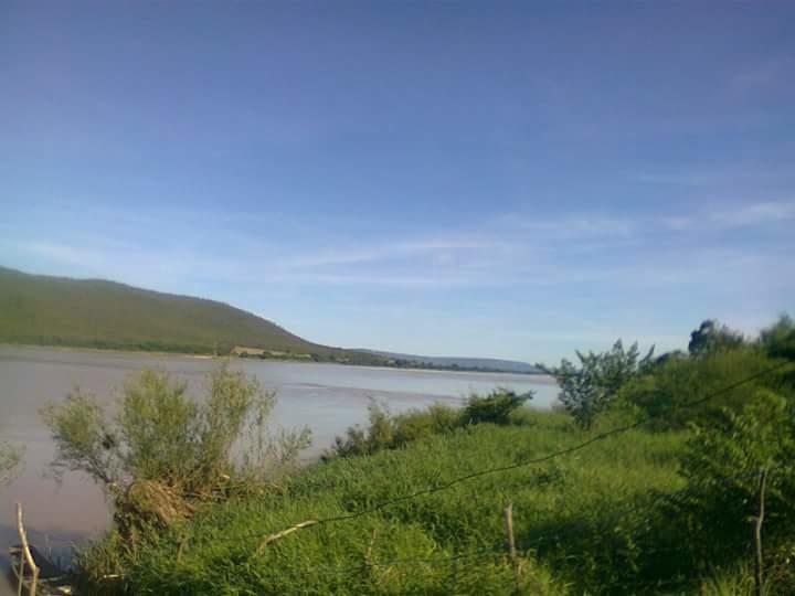 Registro de Marca Paratinga