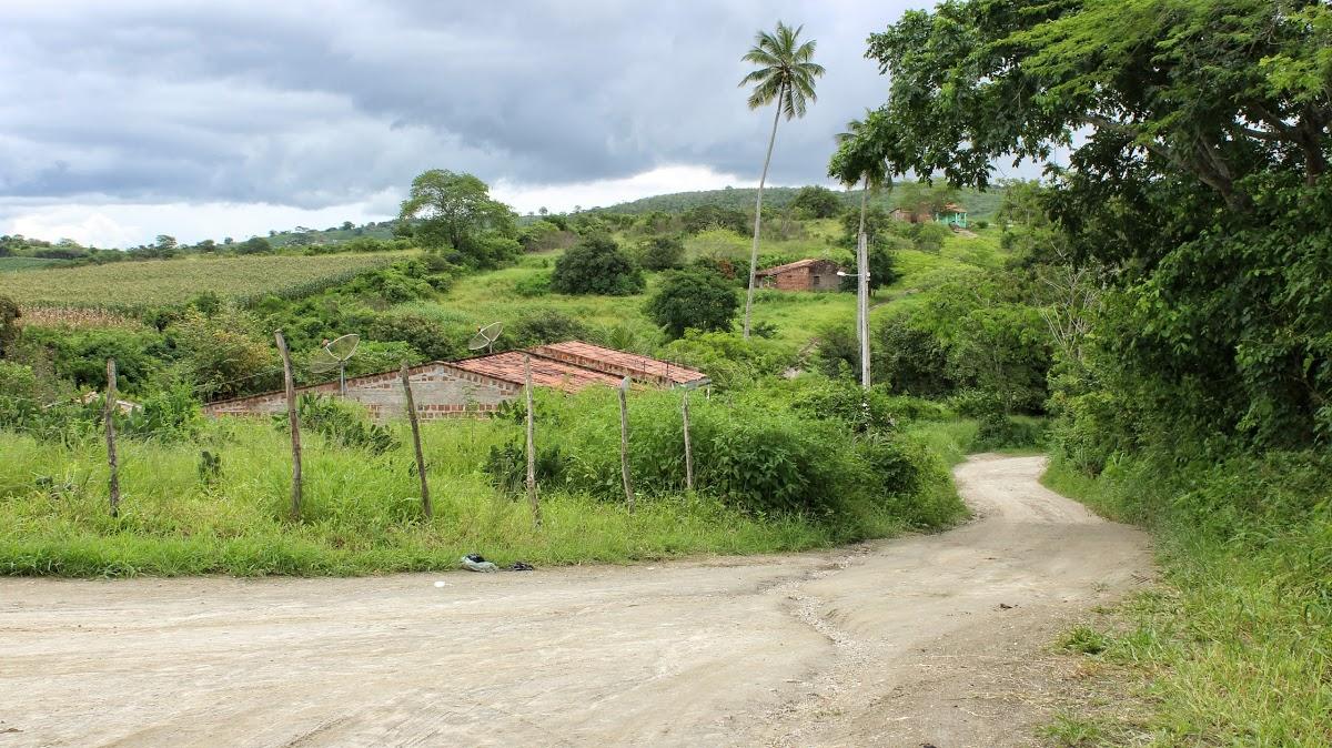 Registro de Marca Passira