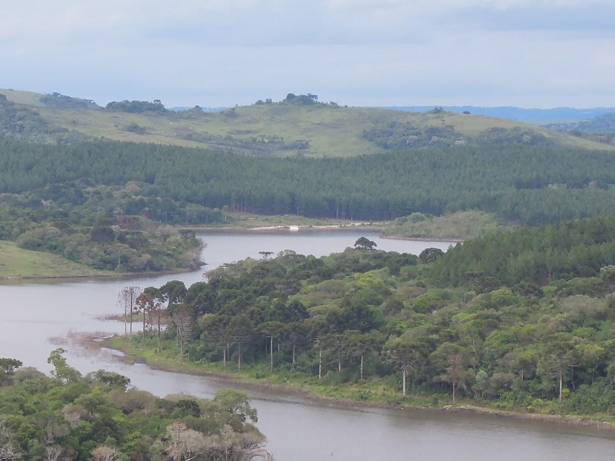 Registro de Marca Passos Maia