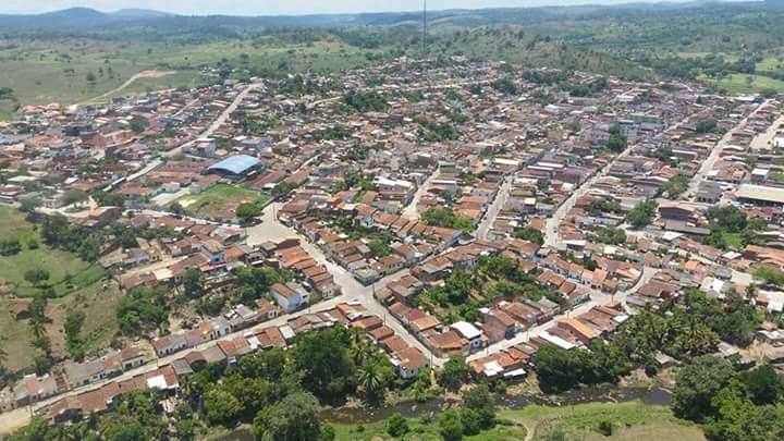 Registro de Marca Pau Brasil