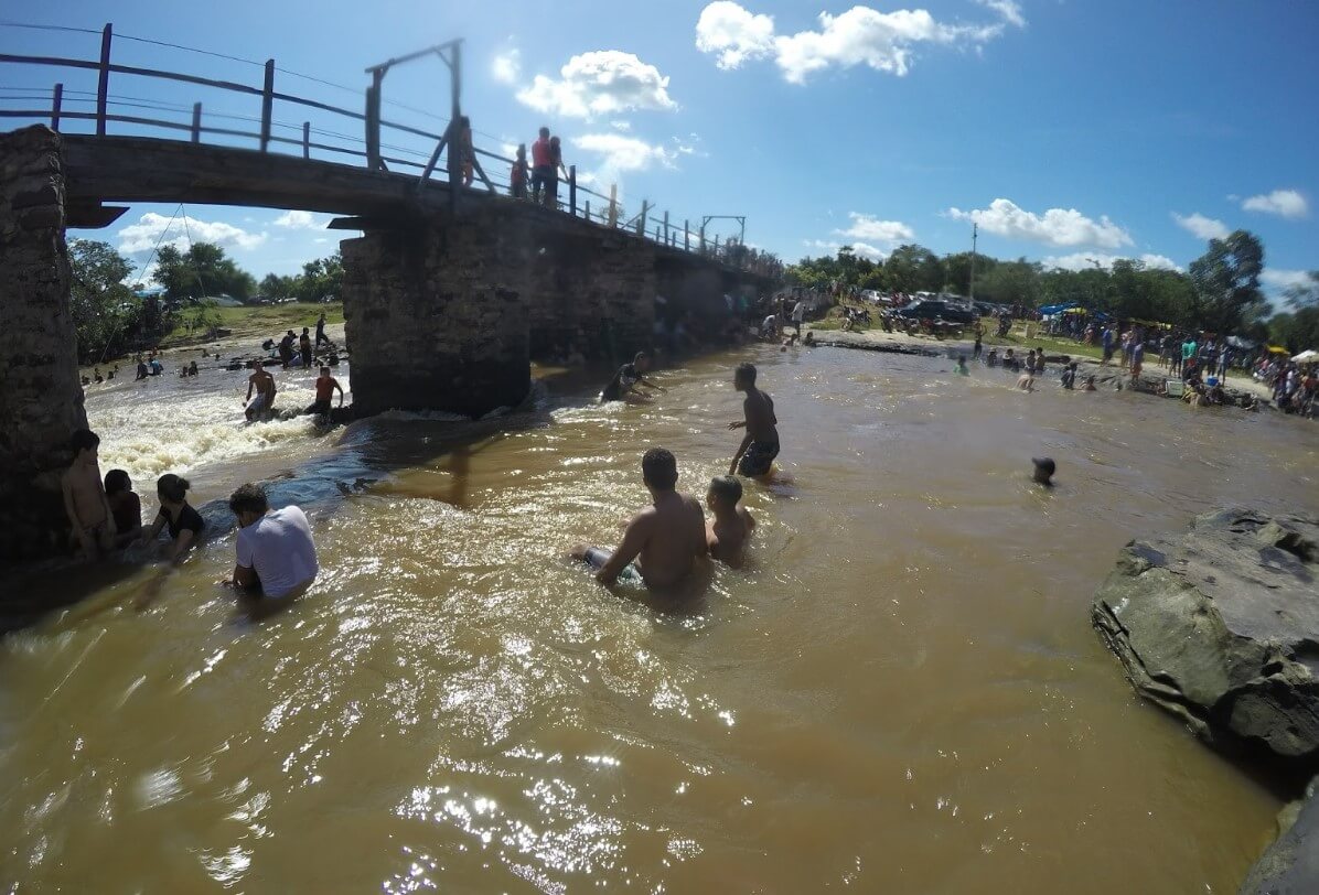 Registro de Marca Pau D'Arco do Piauí