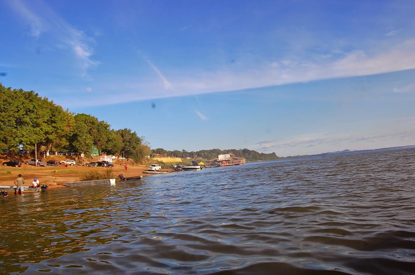 Registro de Marca Pau D'Arco