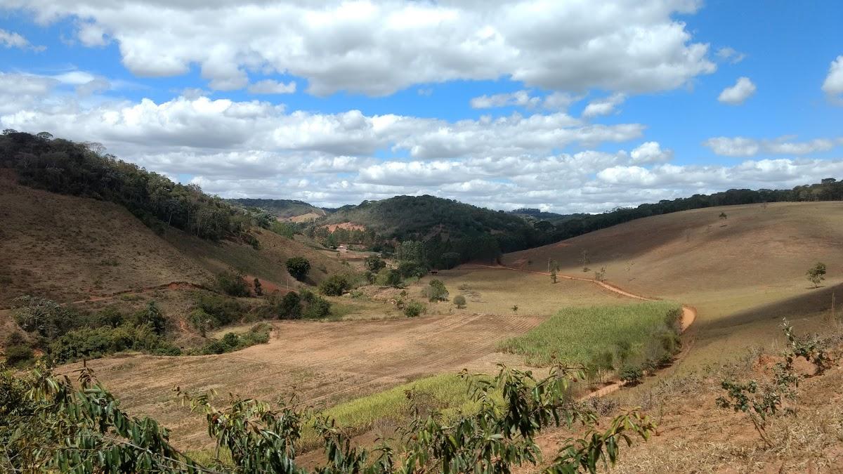 Registro de Marca Paula Cândido