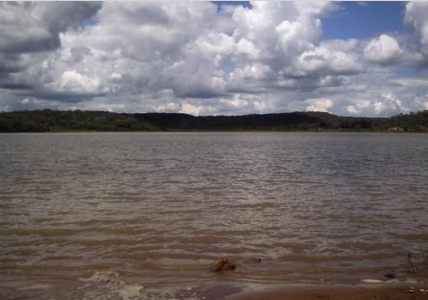 Registro de Marca Pavussu