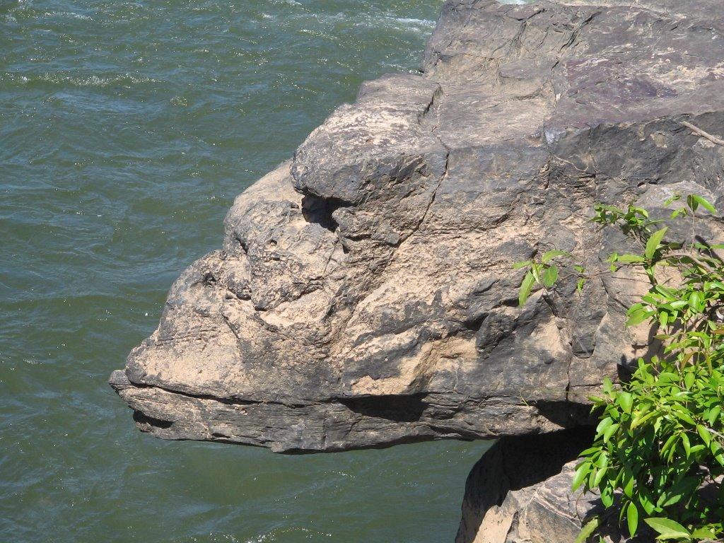 Registro de Marca Pedro Afonso