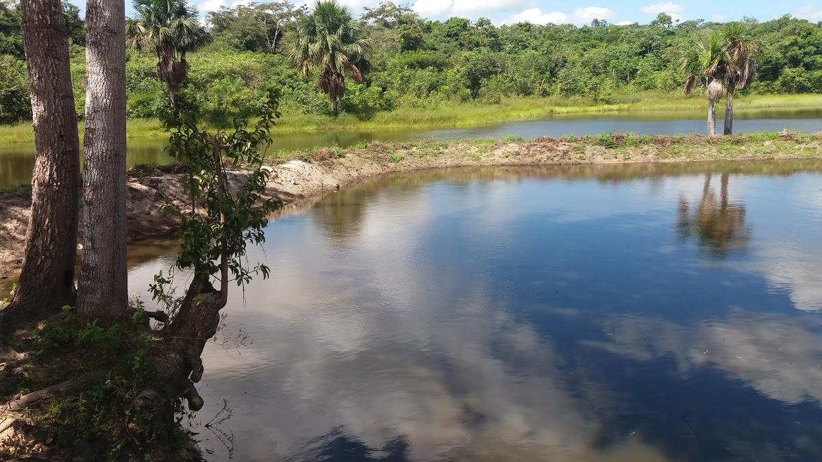 Registro de Marca Pedro do Rosário