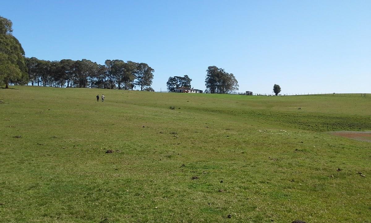 Registro de Marca Pedro Osório