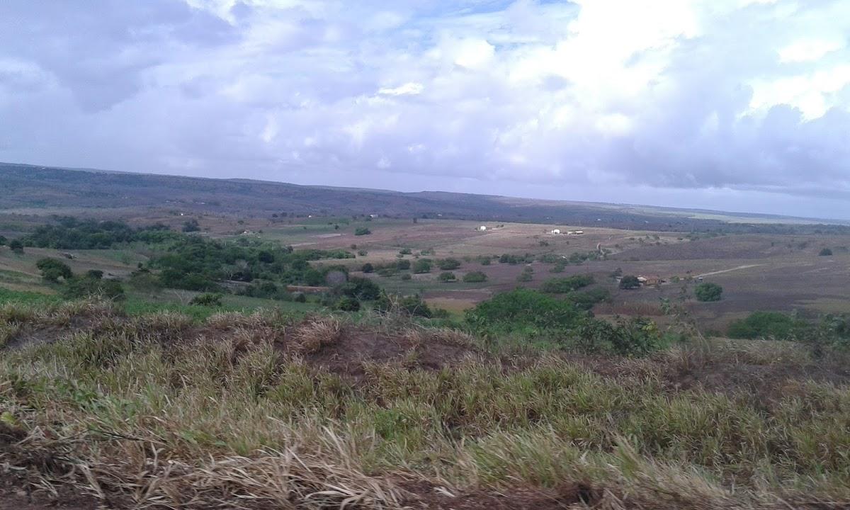 Registro de Marca Pedro Régis