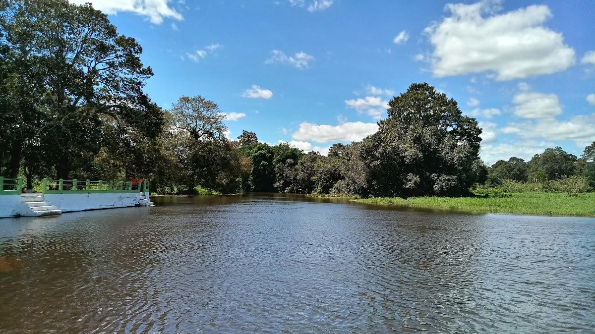 Registro de Marca Peixe-Boi