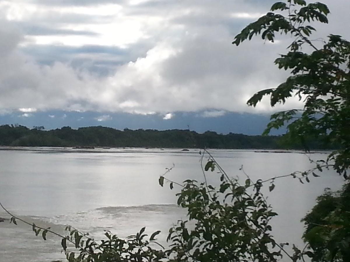 Registro de Marca Peixe