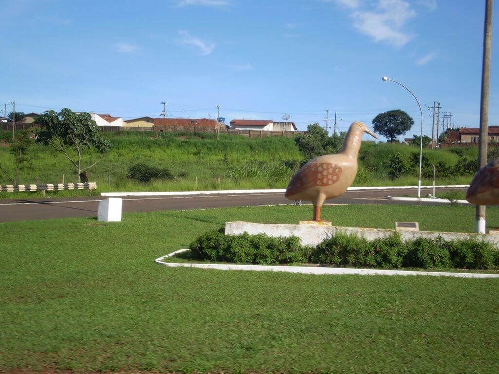 Registro de Marca Perdizes